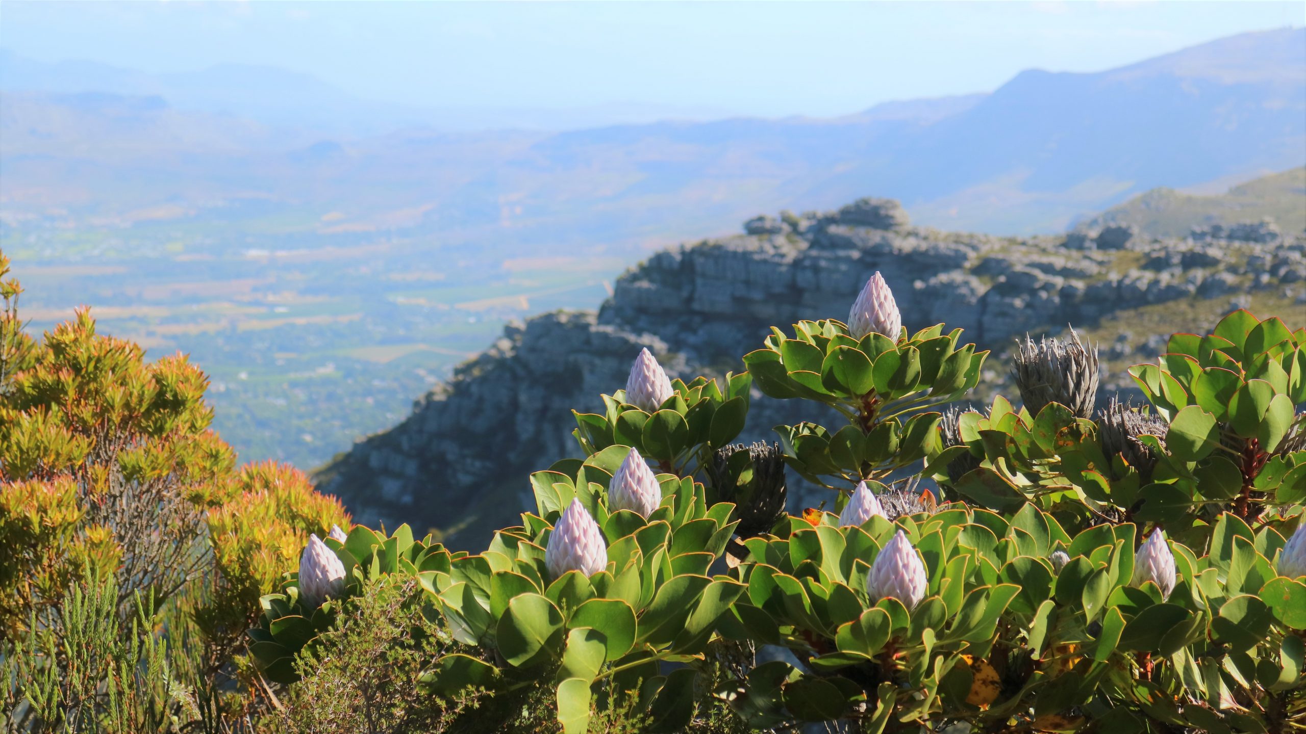 Hur turism kan bidrar till att skydda natur – fem exempel från världen