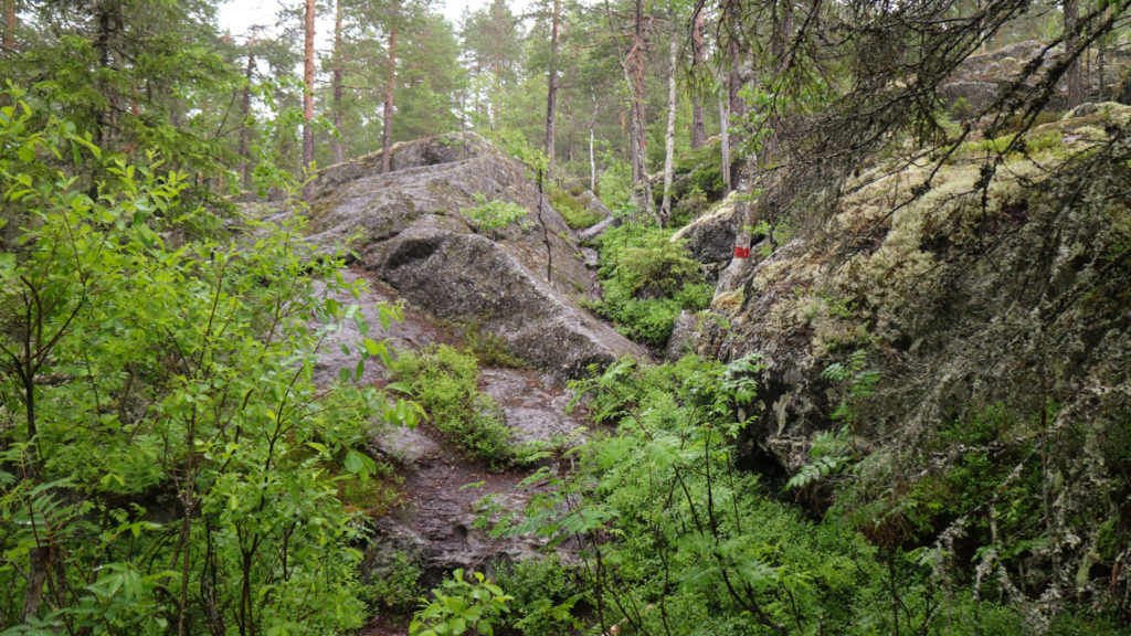 Starberget i Vännäs, västerbotten